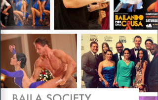 BAILA Society Annual Report 2013